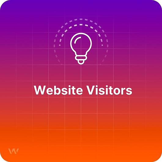 What are Website Visitors? What are Website Visitors?